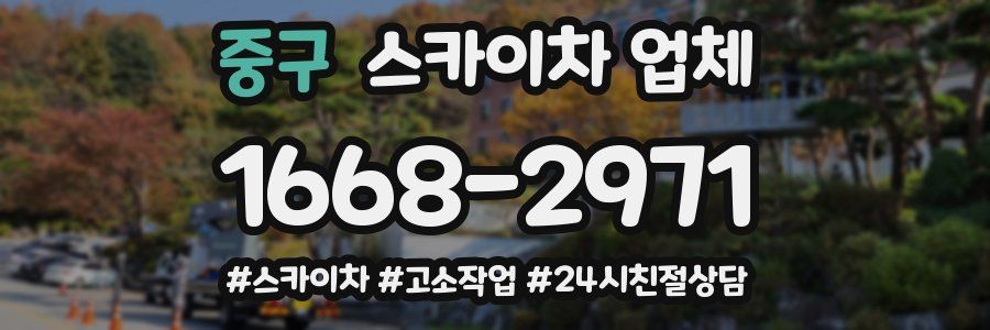 중구 스카이차 업체