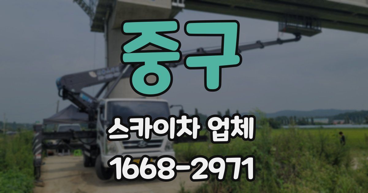중구 스카이차 업체