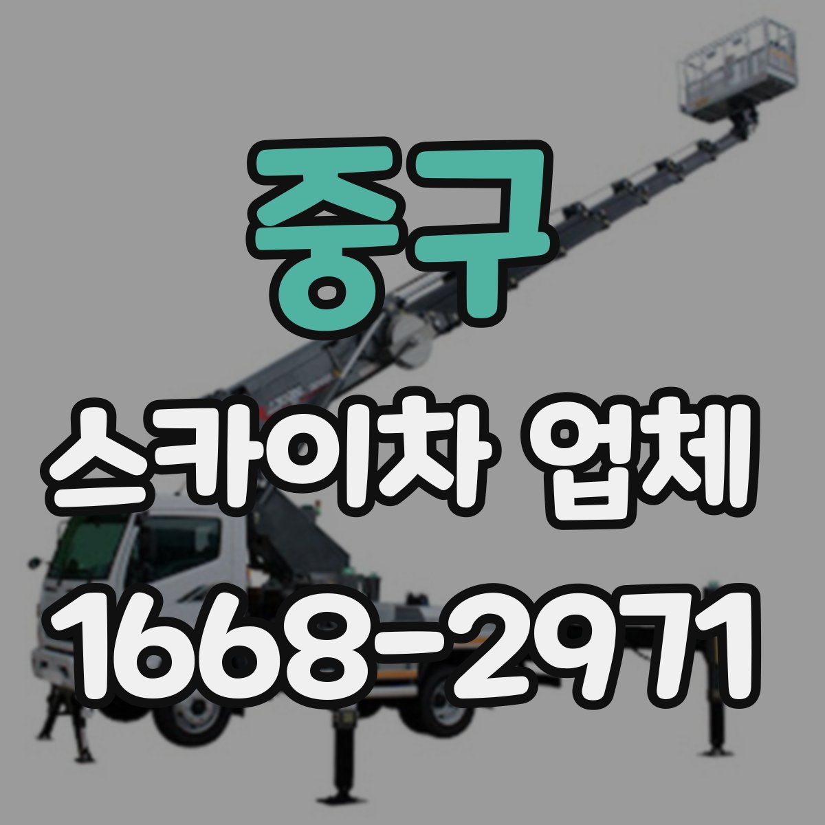 중구 스카이차 업체