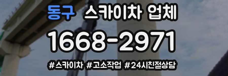 동구 스카이차 업체
