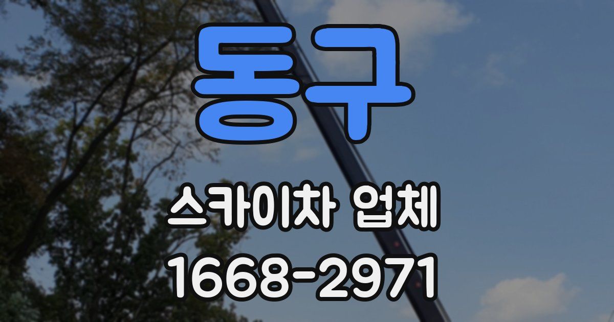 동구 스카이차 업체