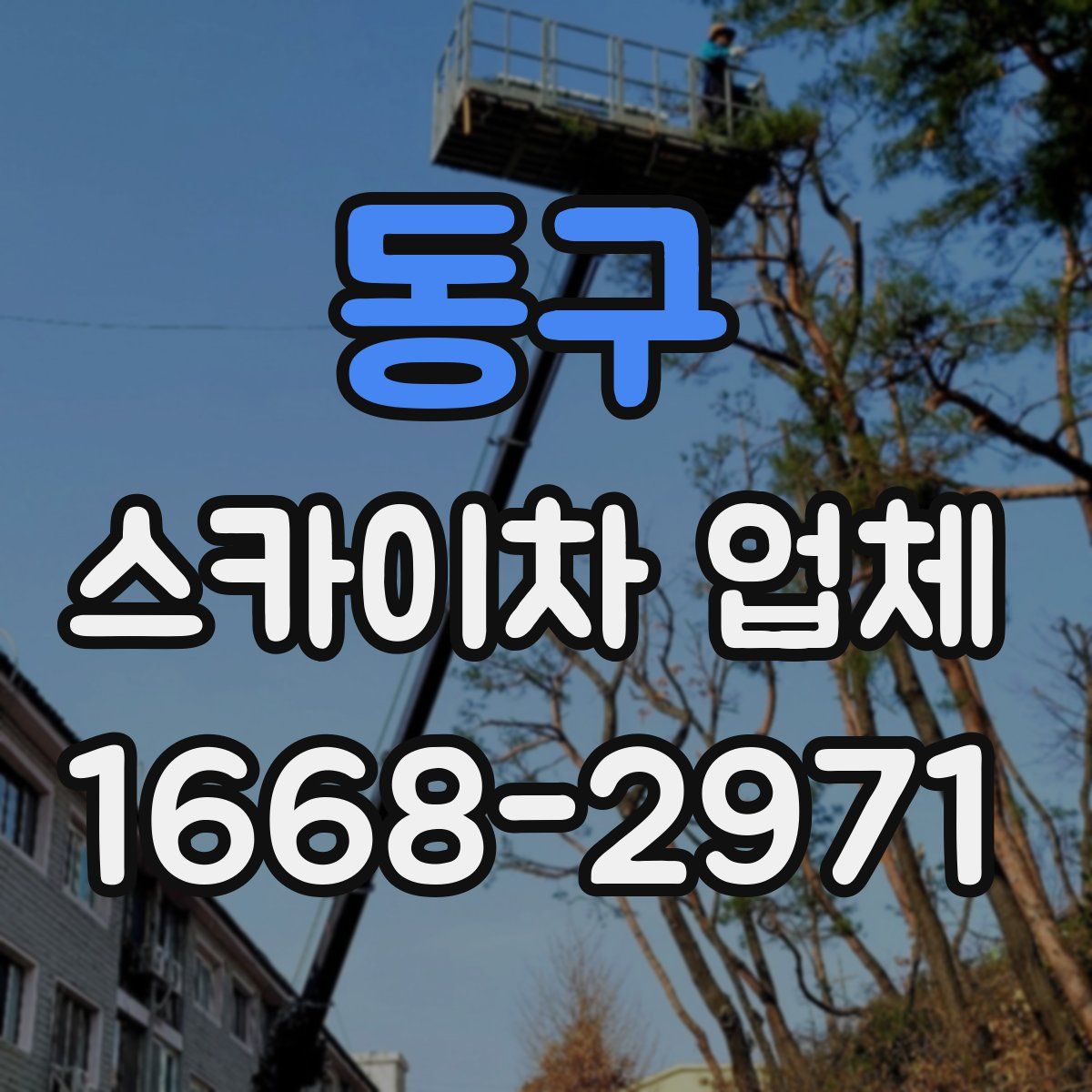 동구 스카이차 업체