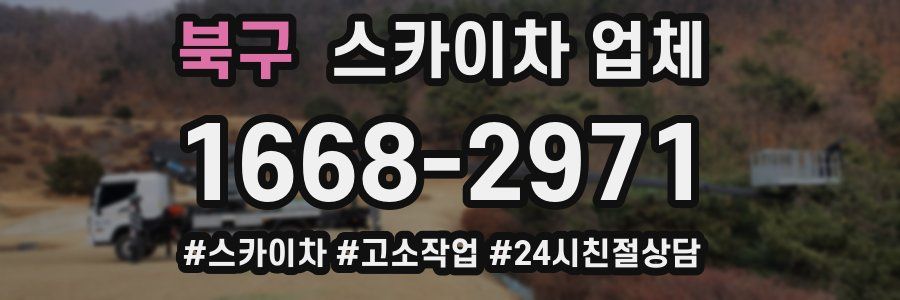 북구 스카이차 업체