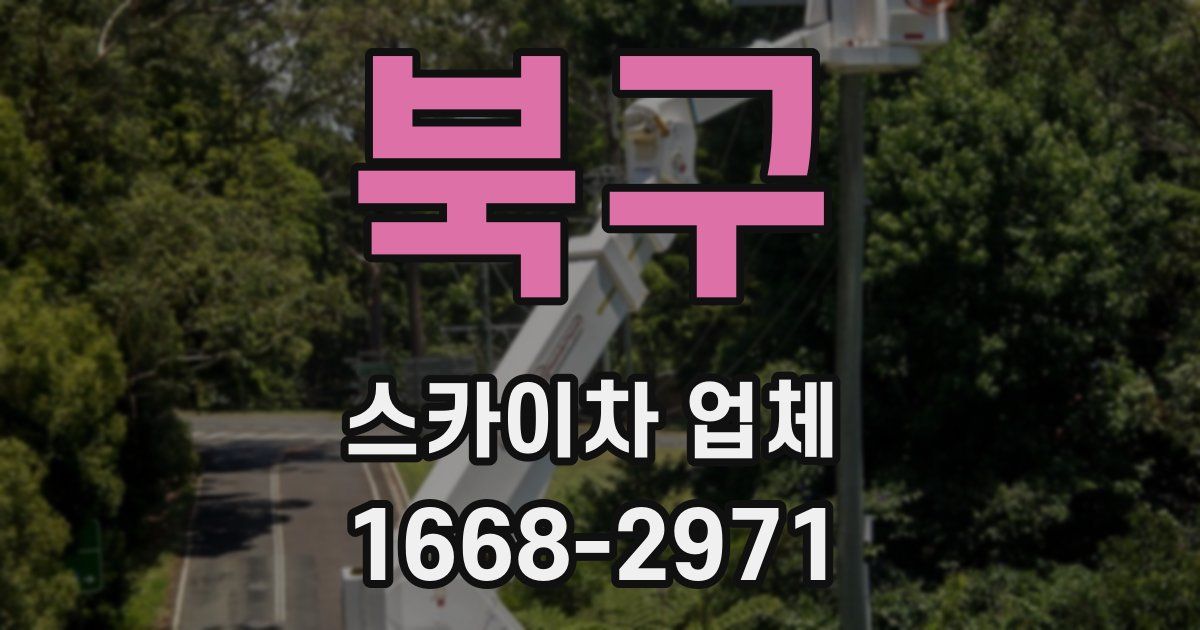 북구 스카이차 업체