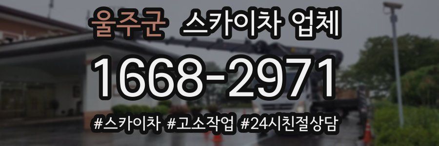 울주군 스카이차 업체
