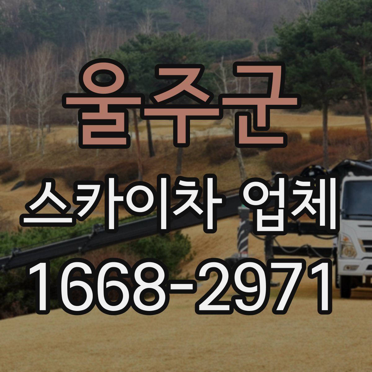 울주군 스카이차 업체