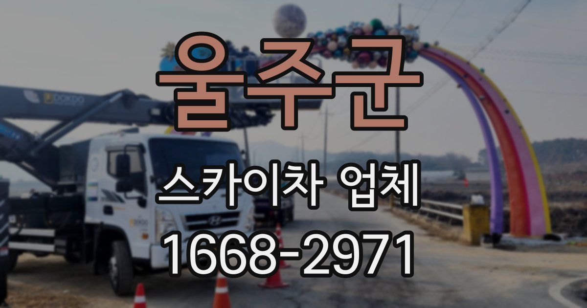 울주군 스카이차 업체