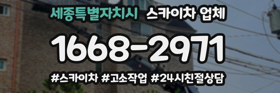세종특별자치시 스카이차 업체