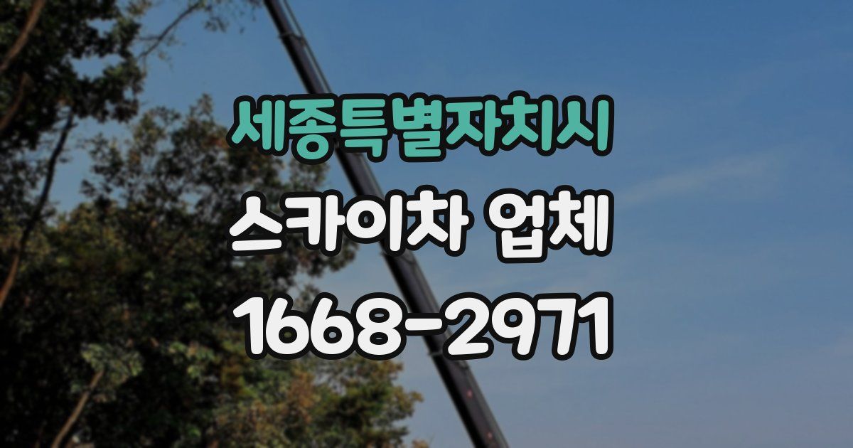 세종특별자치시 스카이차 업체