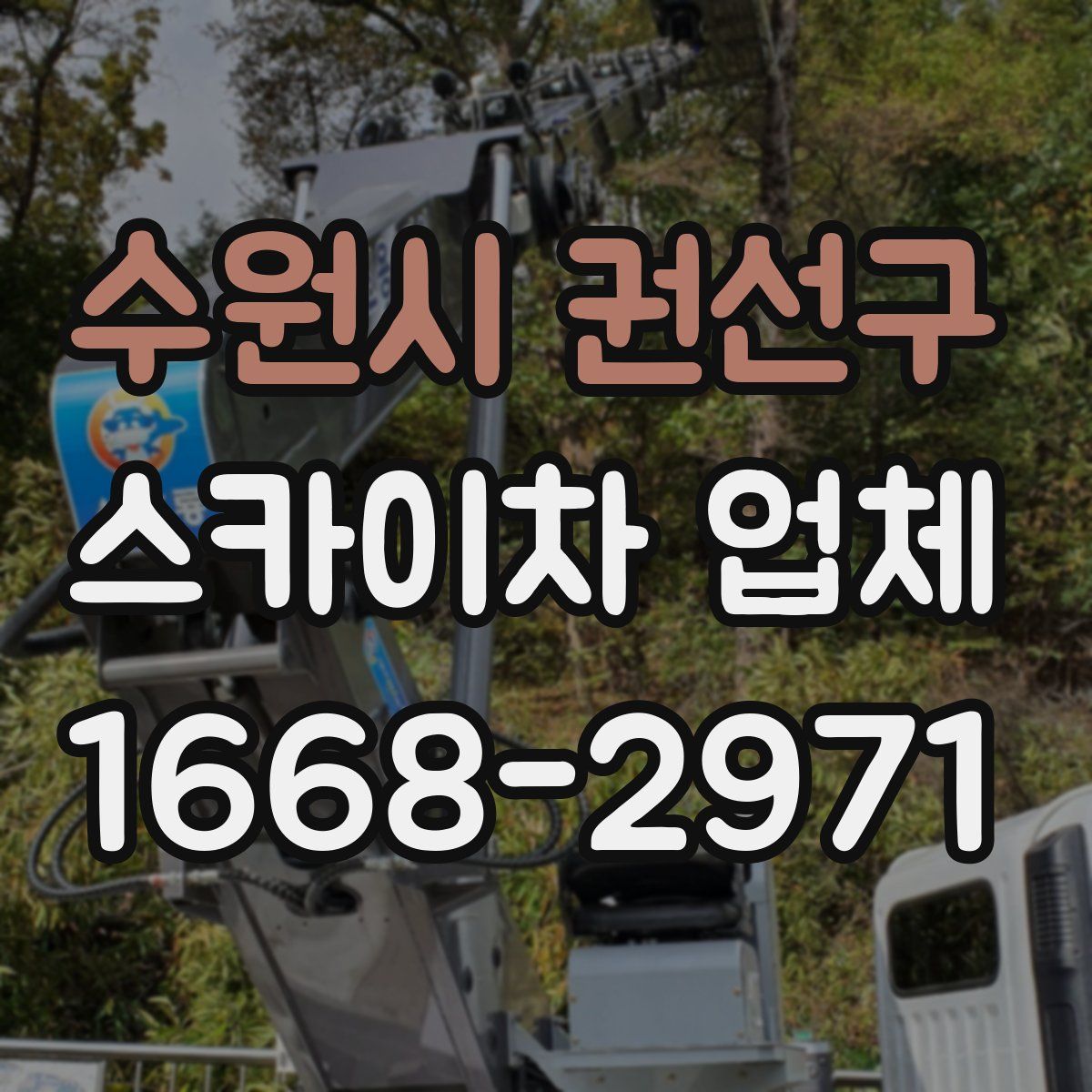 수원시 권선구 스카이차 업체