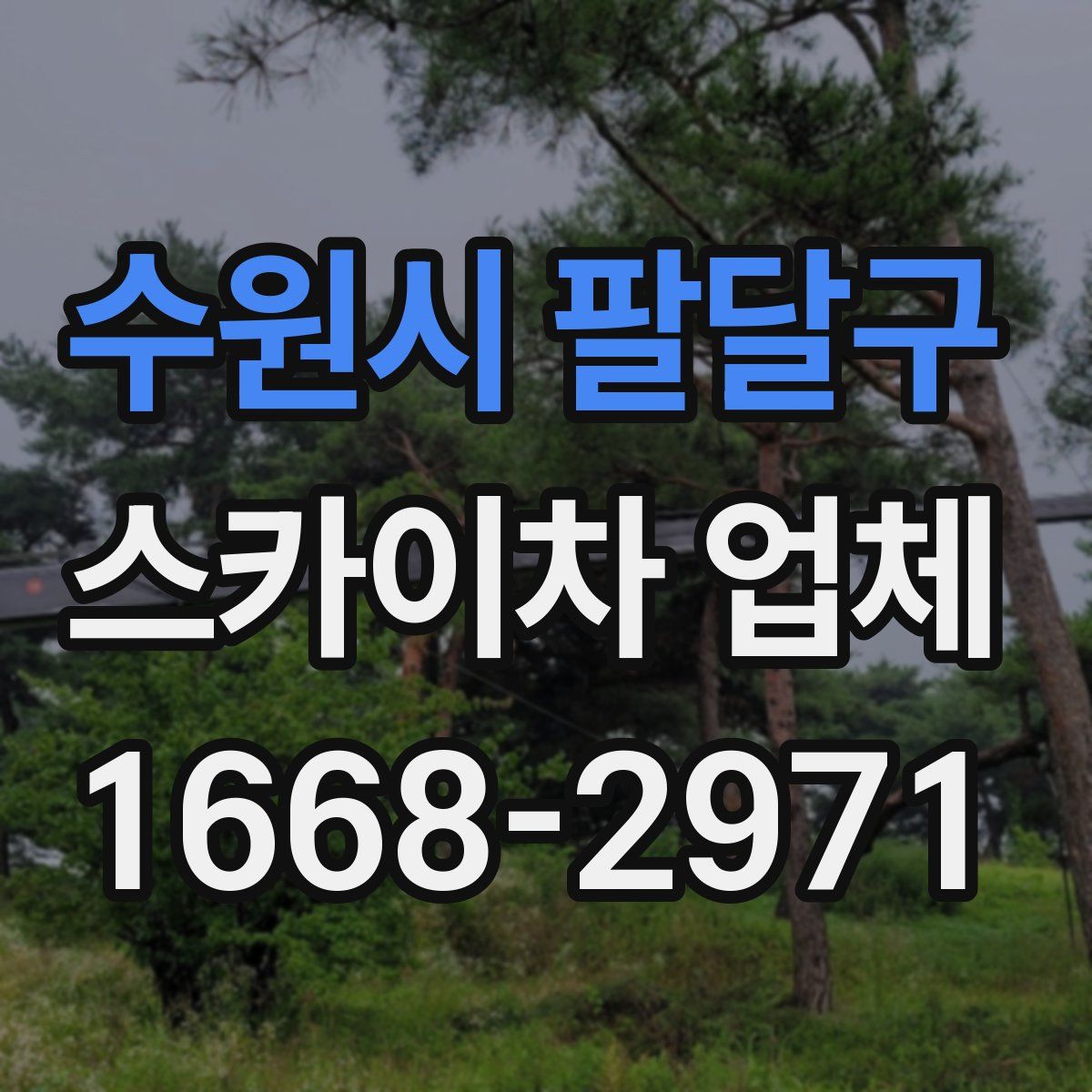 수원시 팔달구 스카이차 업체