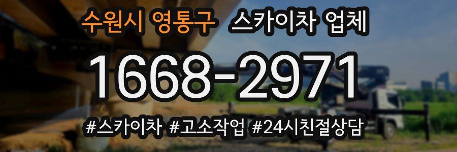 수원시 영통구 스카이차 업체