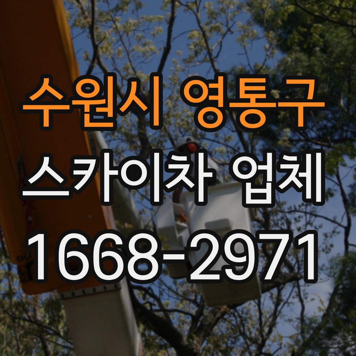 수원시 영통구 스카이차 업체