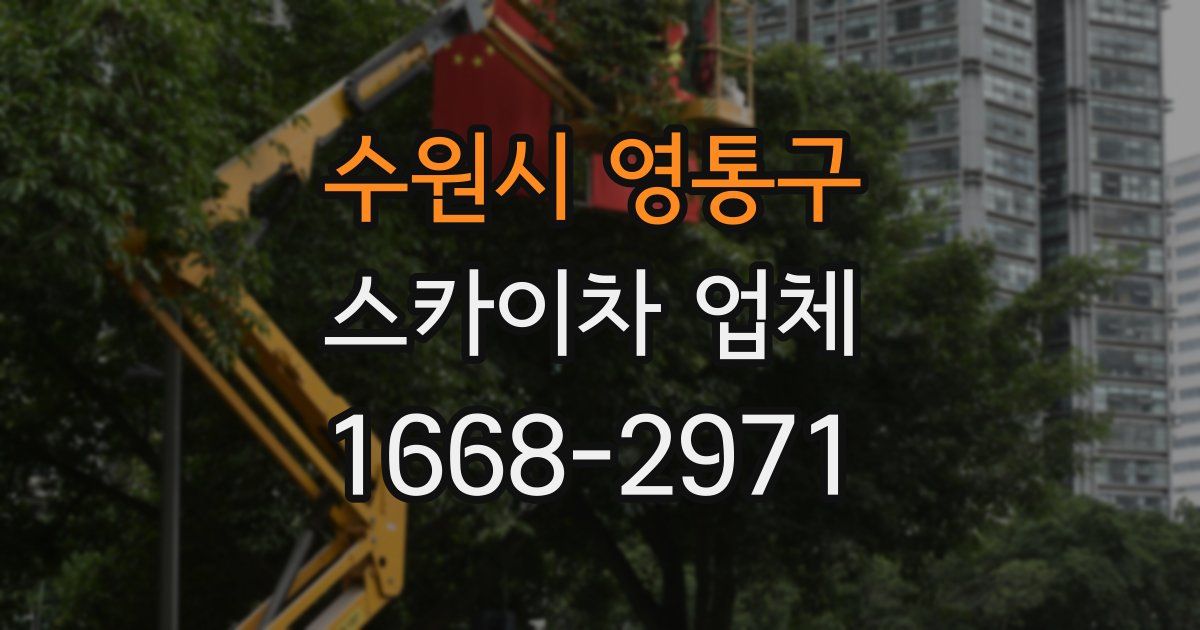 수원시 영통구 스카이차 업체