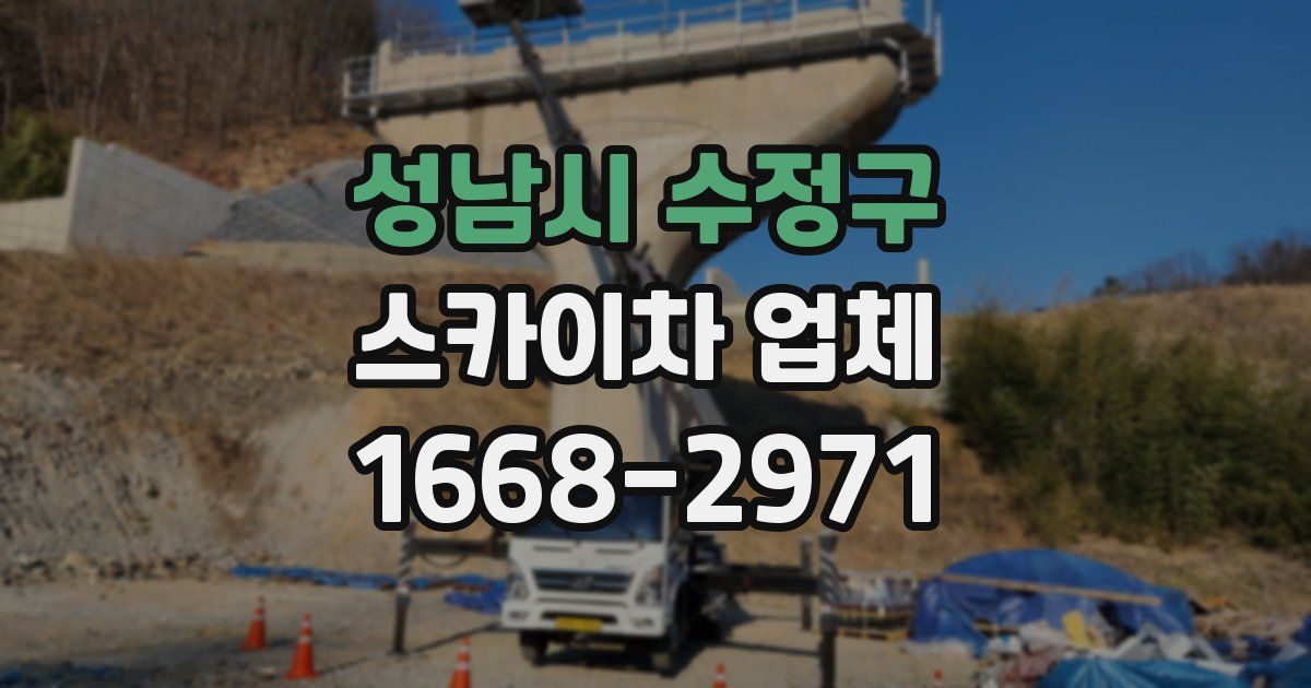 성남시 수정구 스카이차 업체