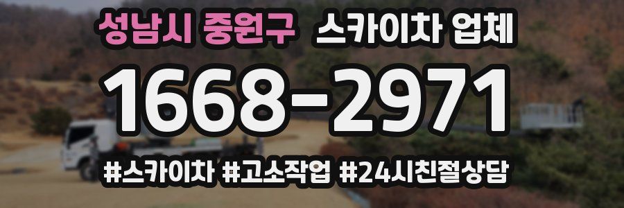 성남시 중원구 스카이차 업체