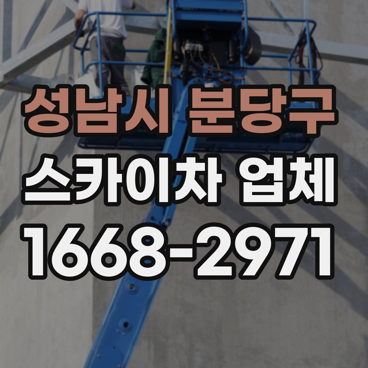 성남시 분당구 스카이차 업체