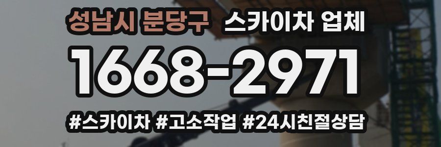 성남시 분당구 스카이차 업체