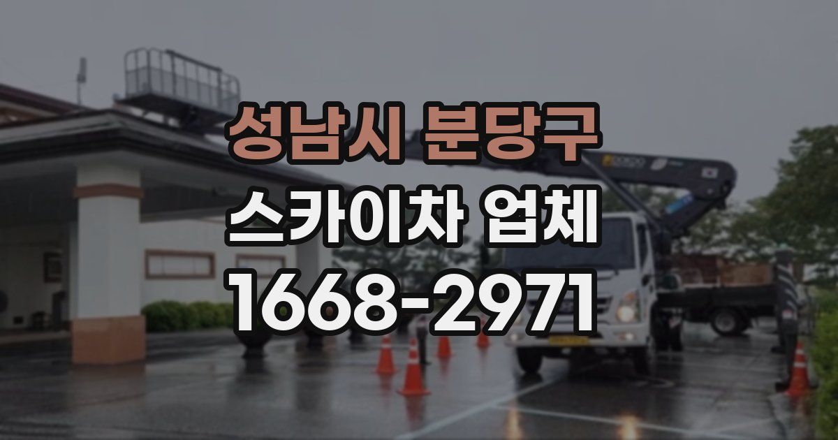 성남시 분당구 스카이차 업체
