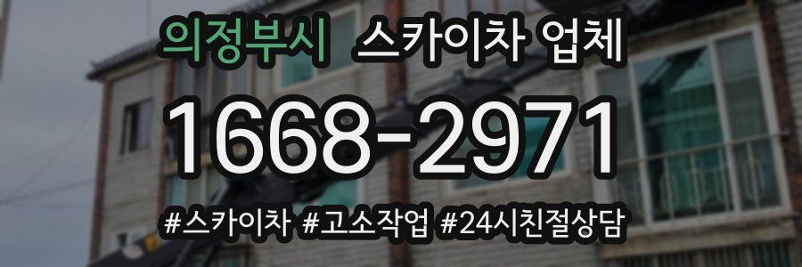 의정부시 스카이차 업체