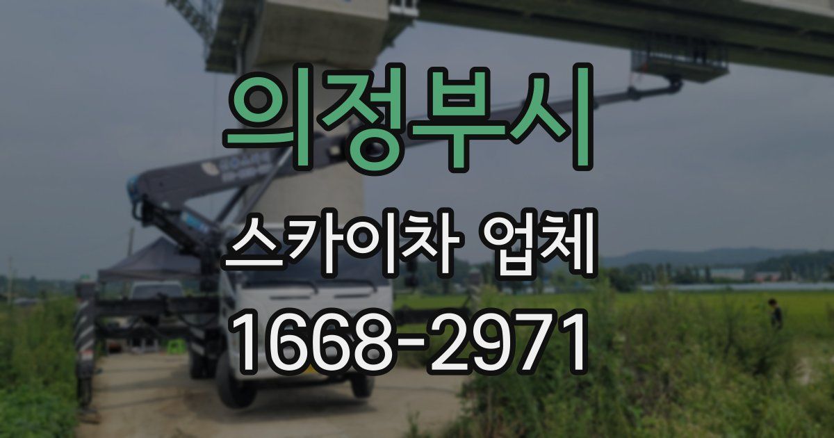 의정부시 스카이차 업체