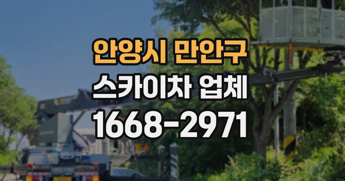 안양시 만안구 스카이차 업체