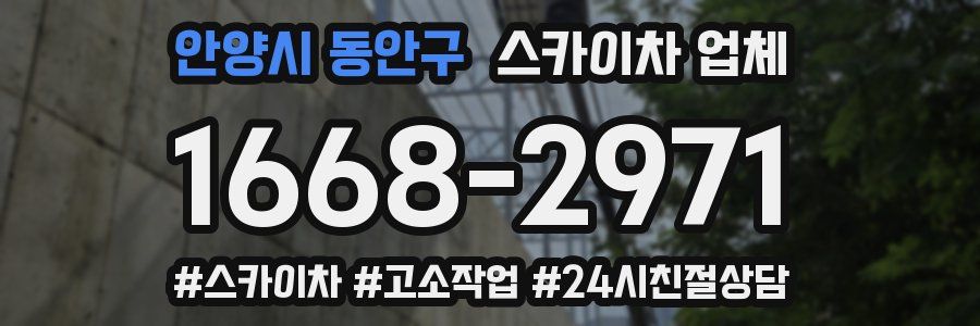 안양시 동안구 스카이차 업체