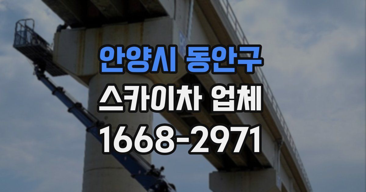 안양시 동안구 스카이차 업체