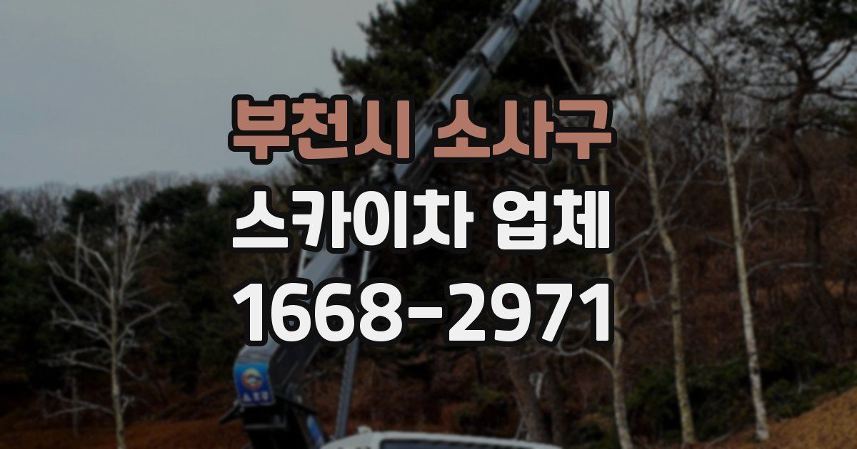 부천시 소사구 스카이차 업체