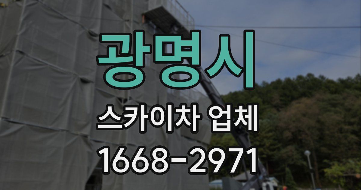 광명시 스카이차 업체