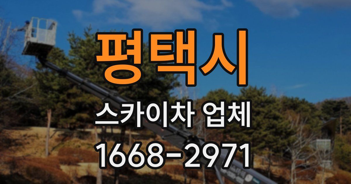 평택시 스카이차 업체