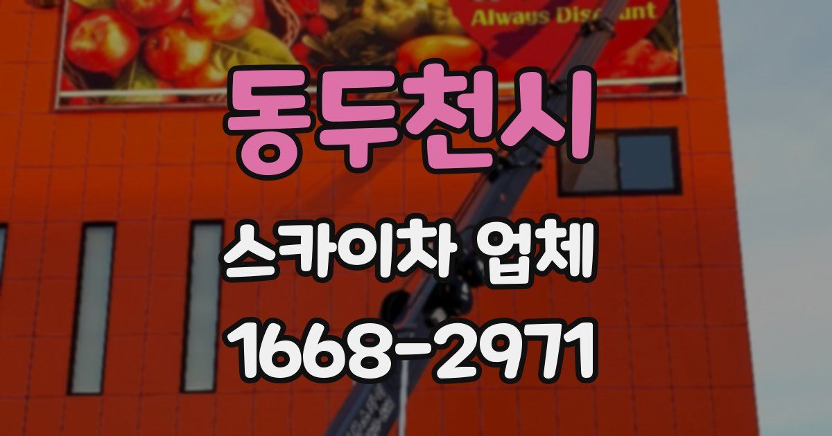 동두천시 스카이차 업체