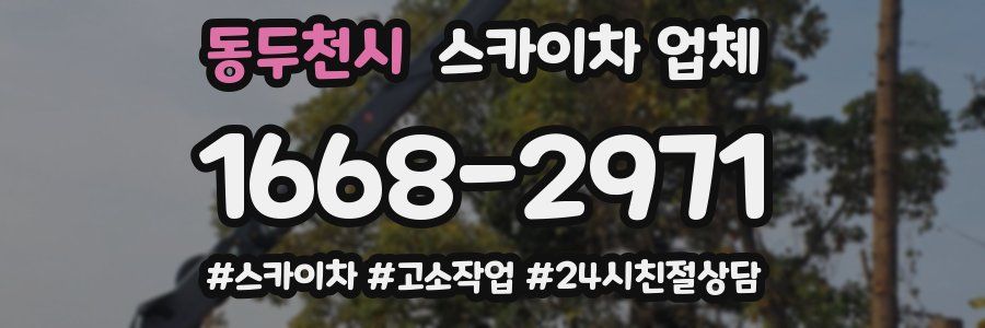 동두천시 스카이차 업체