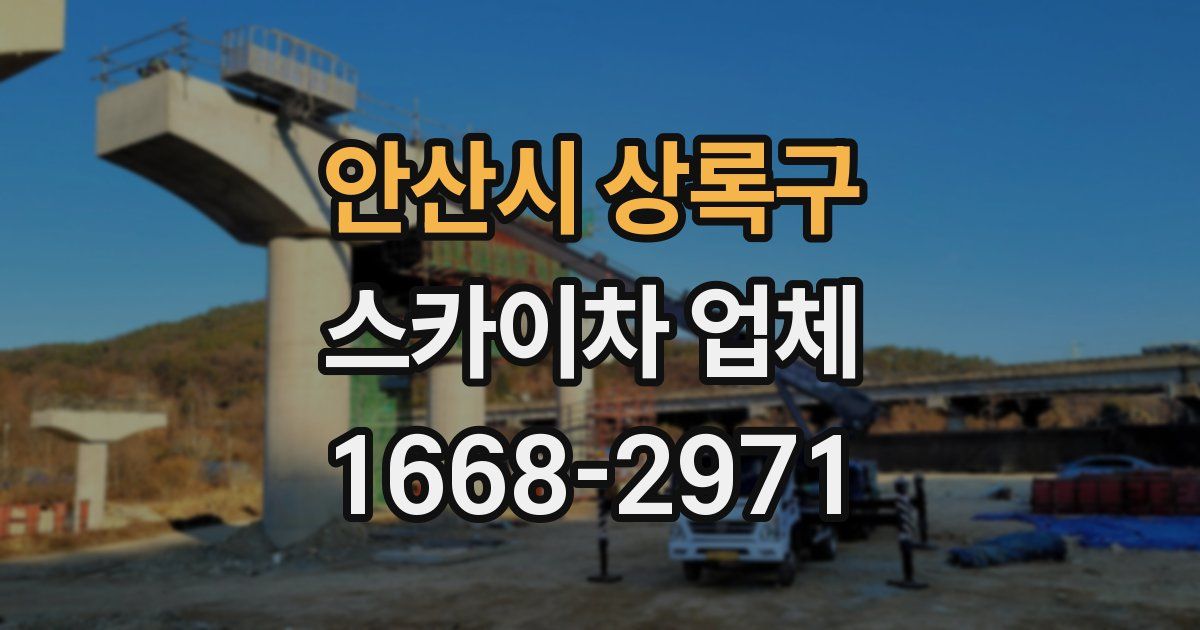 안산시 상록구 스카이차 업체