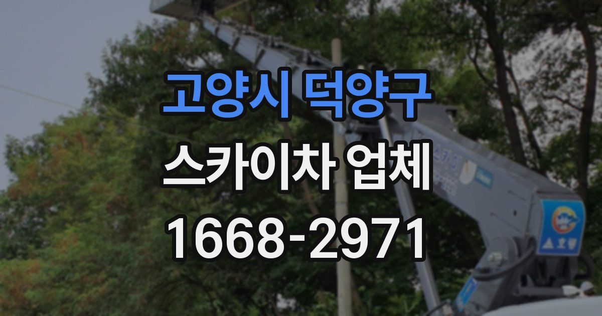 고양시 덕양구 스카이차 업체