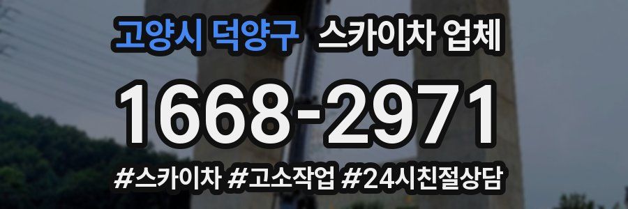 고양시 덕양구 스카이차 업체