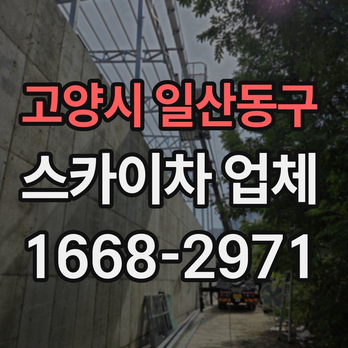 고양시 일산동구 스카이차 업체