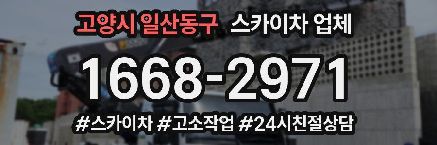 고양시 일산동구 스카이차 업체