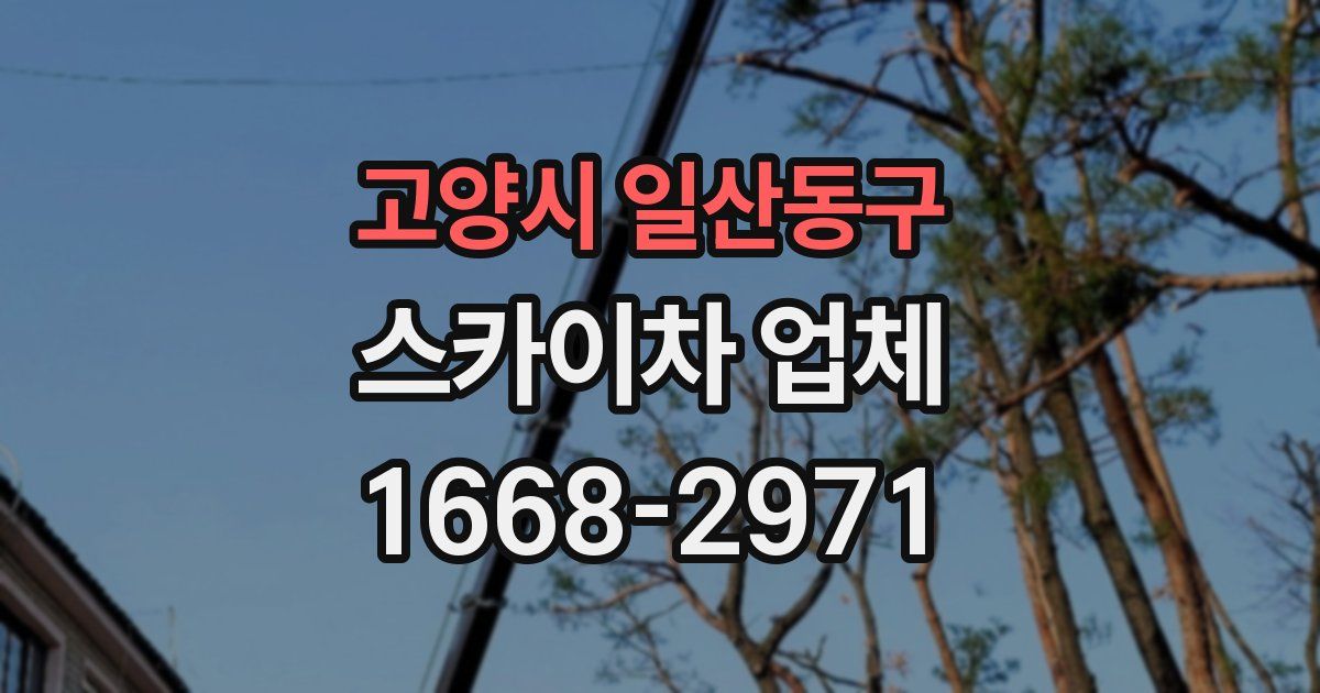 고양시 일산동구 스카이차 업체