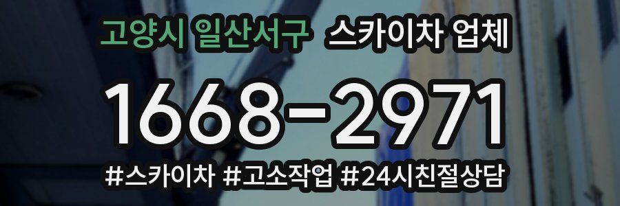 고양시 일산서구 스카이차 업체