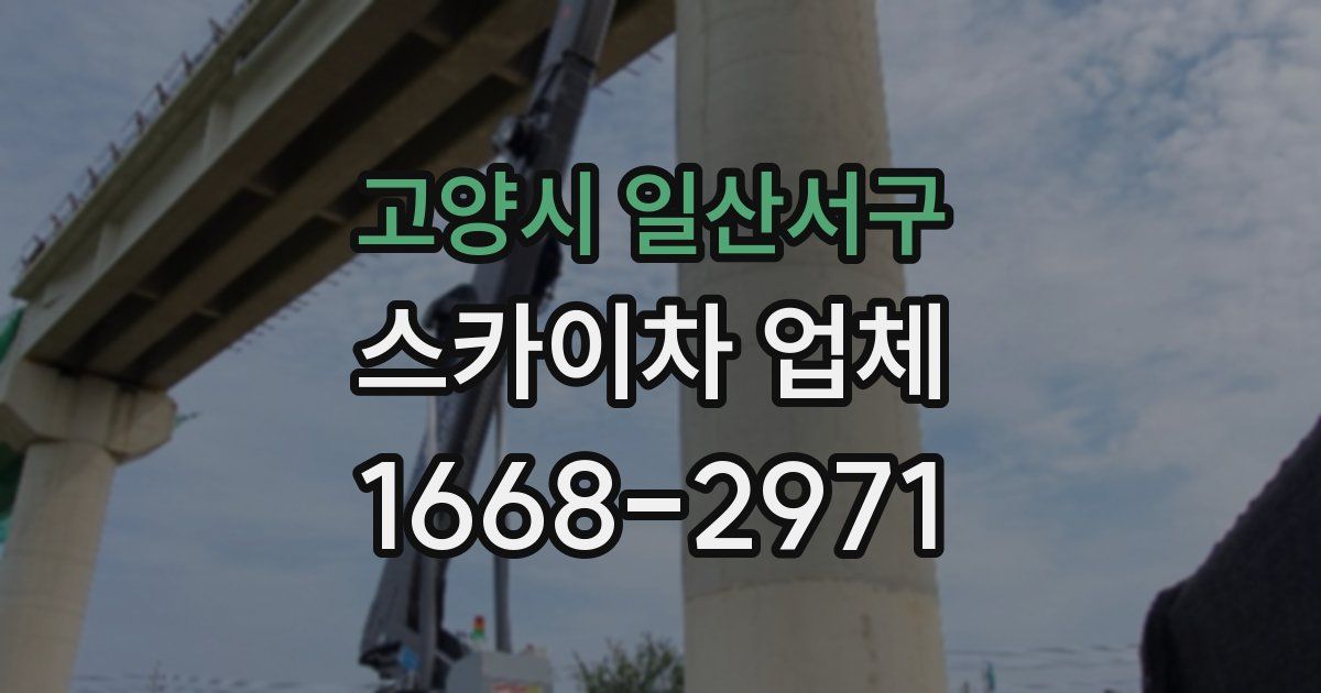 고양시 일산서구 스카이차 업체