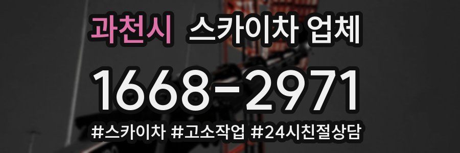 과천시 스카이차 업체