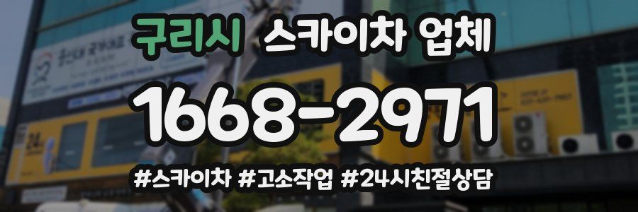 구리시 스카이차 업체