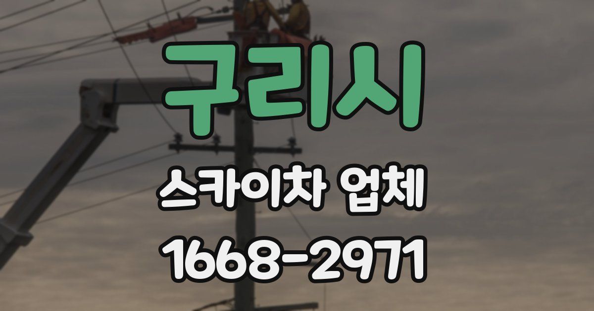 구리시 스카이차 업체