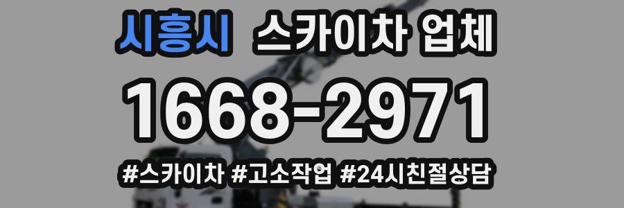 시흥시 스카이차 업체
