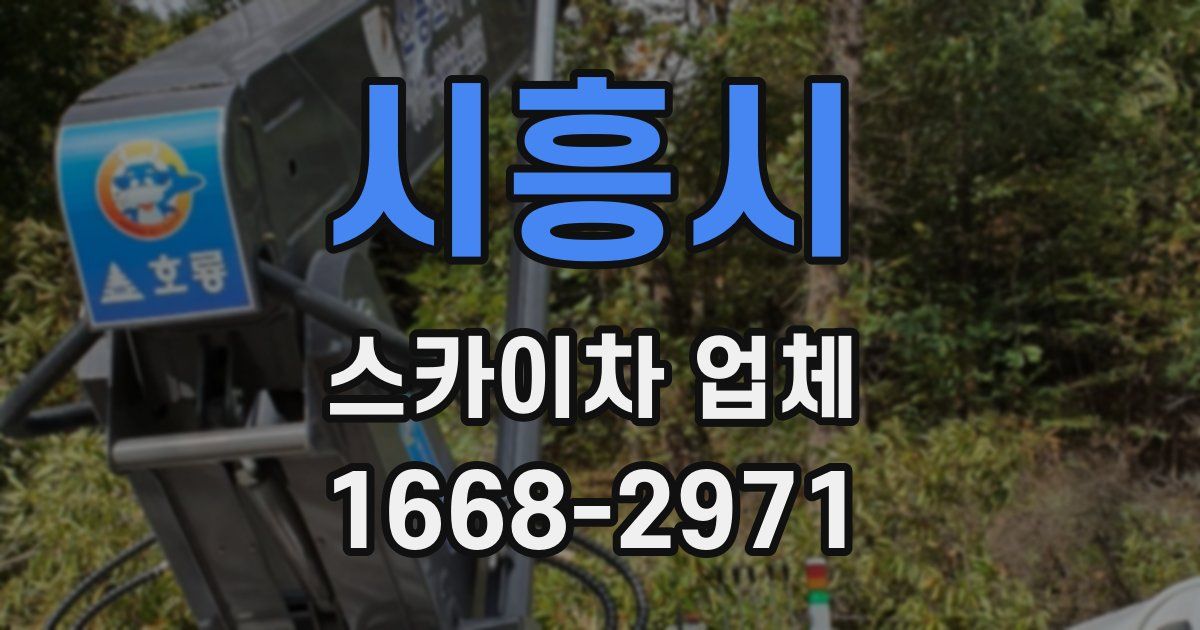 시흥시 스카이차 업체