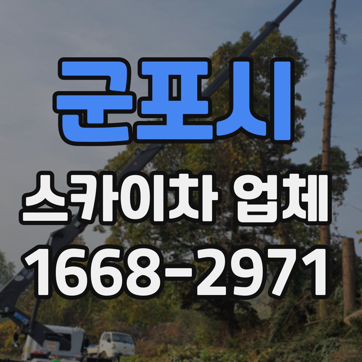 군포시 스카이차 업체