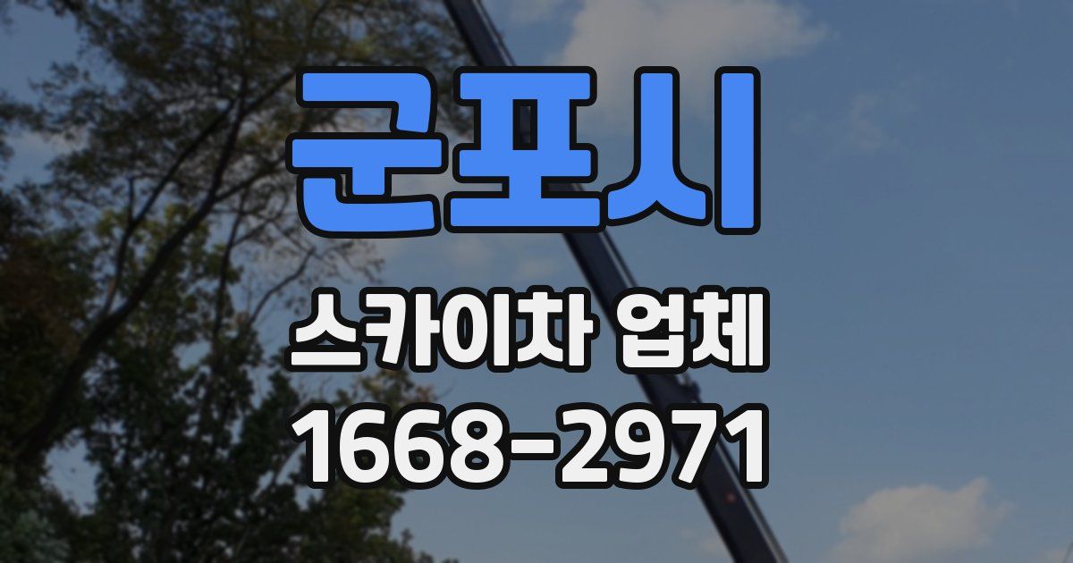군포시 스카이차 업체