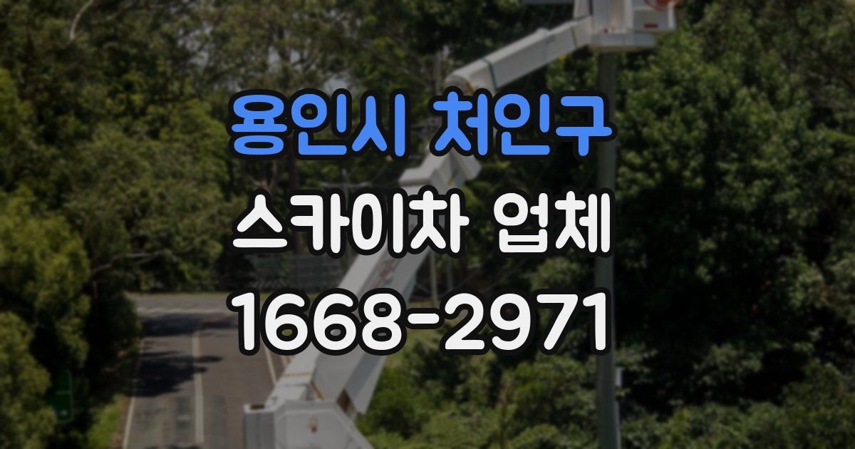 용인시 처인구 스카이차 업체