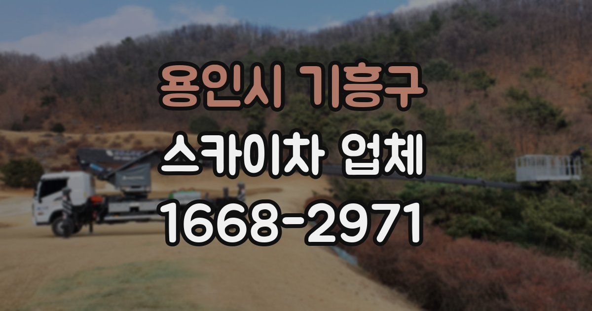 용인시 기흥구 스카이차 업체